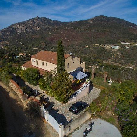 In'D'Noi Panzió Ajaccio  Kültér fotó